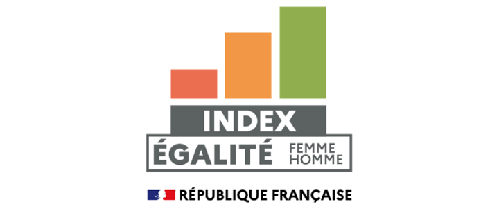 Index égalité professionnelle entre les femmes et les hommes pour l’année 2022