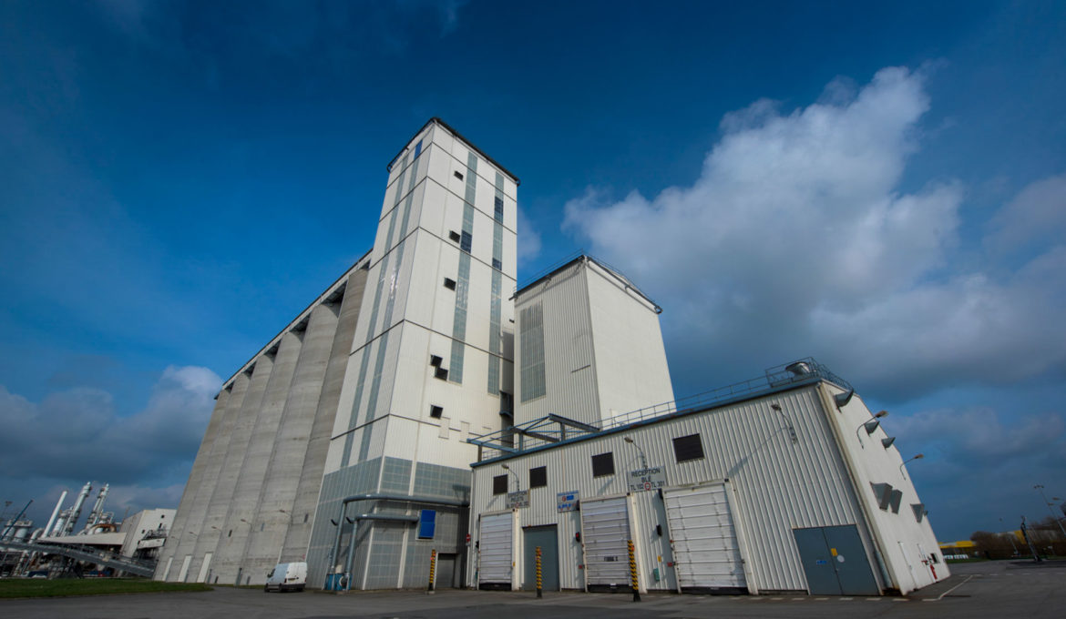 Site de Lillebonne