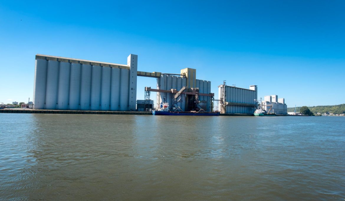 Sénalia Céréales Export Presqu'ile Elie _ navires