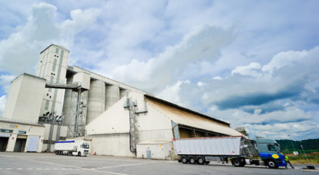 Site de Lillebonne